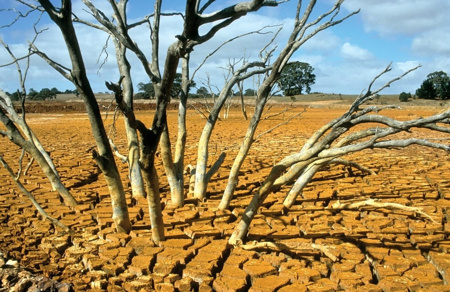 El Nino rất mạnh tác động đến Việt Nam ra sao?