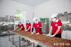 "Đòn bẩy" cho doanh nghiệp nhỏ và hộ kinh doanh