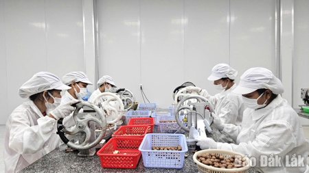 Định hình tương lai khởi nghiệp 