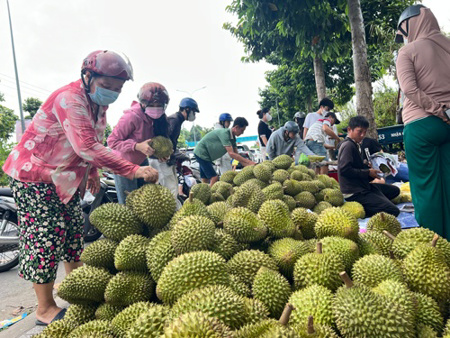 Sầu riêng lấy lại đà tăng giá