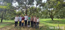 Hướng tới vùng sầu riêng 40 ha ứng dụng công nghệ thông minh tại xã Krông Nô