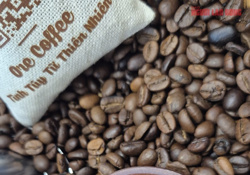Giá cà phê hôm nay 23-5: Robusta tăng tiếp