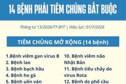 14 bệnh phải sử dụng vaccine, sinh phẩm trong tiêm chủng bắt buộc