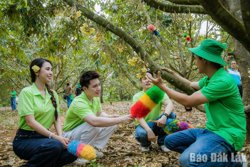 Lễ hội Sầu riêng Đắk Lắk năm 2026: Nâng tầm quy mô và mở rộng không gian từ cao nguyên xuống biển