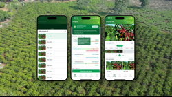 FarmBlock Chư Pưh — Nông trại cà phê đầu tiên tại Tây Nguyên có "hệ điều hành" riêng 
