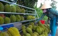 Muốn đi xa phải đi bài bản