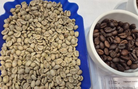 Giá cà phê hôm nay 28-5: Arabica giảm mạnh, Colombia trúng mùa