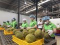 Nông sản Việt: Chuyển từ cạnh tranh bằng giá sang cạnh tranh bằng chất