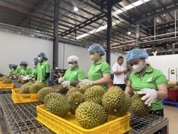 Nông sản Việt: Chuyển từ cạnh tranh bằng giá sang cạnh tranh bằng chất