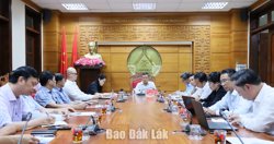 Rà soát, hoàn thiện nội dung dự thảo Đề án Lễ hội Cà phê Buôn Ma Thuột lần thứ 10 năm 2027