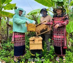 Xã Phú Mỡ Tạo sức bật từ nông thôn mới