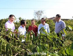 Tập trung nguồn lực thực hiện hiệu quả các chương trình tín dụng chính sách