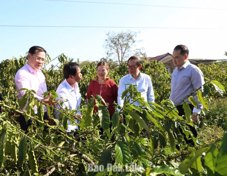 Tập trung nguồn lực thực hiện hiệu quả các chương trình tín dụng chính sách