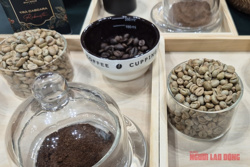 Giá cà phê hôm nay 4-5: Liệu Robusta có về lại mốc 4.000 USD/tấn?