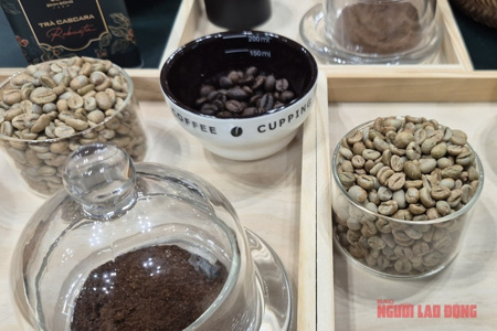 Giá cà phê hôm nay 4-5: Liệu Robusta có về lại mốc 4.000 USD/tấn?