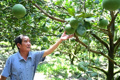 4 tháng đầu năm xuất khẩu nông lâm thủy sản đạt 23,04 tỷ đô