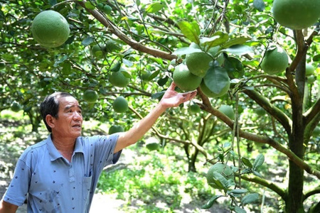 4 tháng đầu năm xuất khẩu nông lâm thủy sản đạt 23,04 tỷ đô
