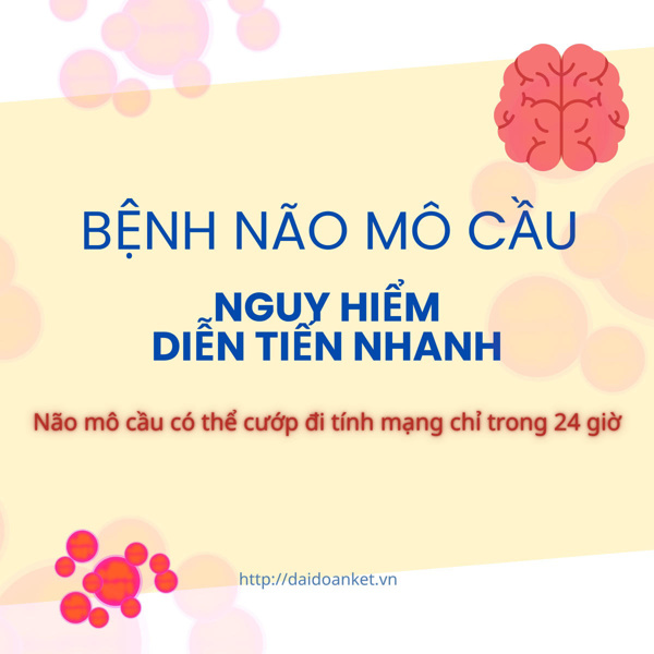 Não mô cầu: Diễn tiến nhanh, tử vong trong 24 giờ