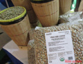 Giá cà phê hôm nay 7-5: Robusta tăng tiếp; “vua xuất khẩu cà phê” bất ngờ rớt hạng