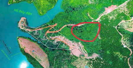 Tin vui cho người mua "đất giấy tay" trước 2024
