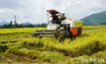 Hợp tác xã nông nghiệp được hỗ trợ vay vốn 1 tỷ đồng