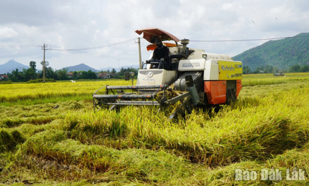 Hợp tác xã nông nghiệp được hỗ trợ vay vốn 1 tỷ đồng
