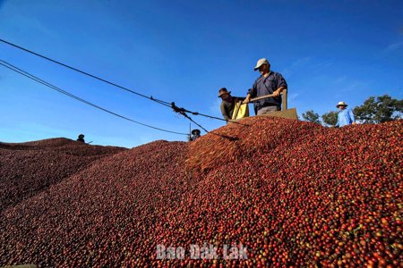 Buôn Ma Thuột vào top 15 điểm đến ẩm thực nổi bật nhất thế giới năm 2026
