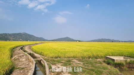 Thúc đẩy chuyển đổi mô hình quản trị nước thông minh
