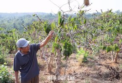 Nghịch lý: Ngập lụt mùa mưa, thiếu nước mùa khô