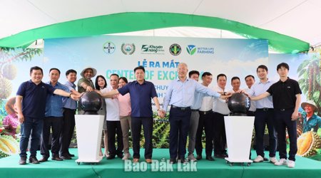 Mô hình CoE: Kiến tạo hệ sinh thái liên kết cho nông sản Tây Nguyên