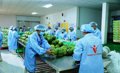 Nâng giá trị trái cây Việt
