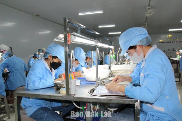 Khơi thông “mạch máu số" từ cơ sở