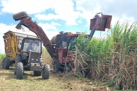 Đường lậu, không rõ nguồn gốc vẫn tràn lan