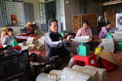 Đỏ lửa những lò bánh tráng Ea Nuôl
