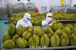 Xây nền vững chắc cho ngành hàng tỷ đô
