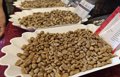 Giá cà phê hôm nay 16-6: Chuỗi tăng kéo dài, điều gì đang xảy ra?