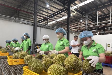 Đẩy mạnh triển khai hệ thống truy xuất nguồn gốc nông sản
