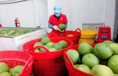 Hàng Việt “mở cửa” thị trường nghìn tỷ USD