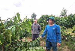 Cú hích giảm nghèo ở Dang Kang 
