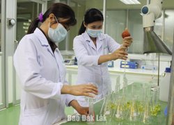 Hoàn thiện “tam giác động lực” của nền kinh tế