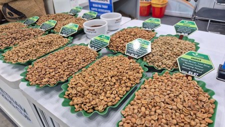 Giá cà phê hôm nay 2-6: Arabica giảm 3 con số