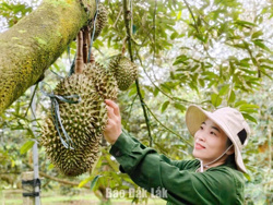 Đất lành cho cây trái