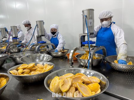 Nông sản chế biến sâu - Dư địa còn bỏ ngỏ
