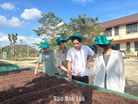 Xác lập vị thế mới cho cà phê Robusta