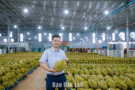 Đắk Lắk -“Thỏi nam châm” mới trong mắt nhà đầu tư