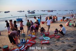 Du lịch trải nghiệm - Từ check-in đến kết nối, lan tỏa