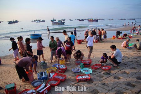Du lịch trải nghiệm - Từ check-in đến kết nối, lan tỏa