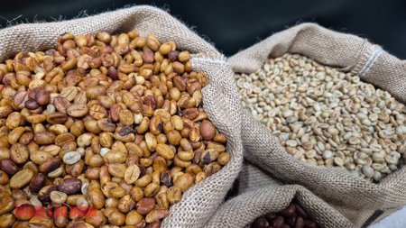 Giá cà phê hôm nay 3-6: Robusta tăng trở lại