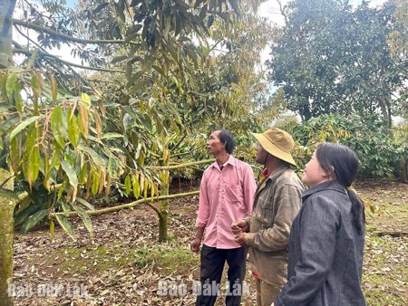 Toàn tỉnh phấn đấu giảm tỷ lệ hộ nghèo năm 2026 còn 2,13%