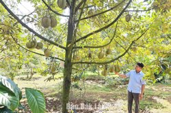 Không thể làm nông nghiệp theo cách cũ